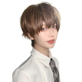 INMAN Full Wig, Wig, Men's, Short, Short Hair, Natural, Heat Resistant