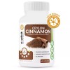 eXplicit Supplements Ceylon Cinnamon 1200mg - 60 Capsules - 30