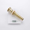 GORDEE Bathroom Vessel Sink Pop Up Drain With Detachable Garbage