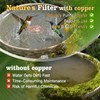 Vehequny Copper Disc for Bird Bath – 99.99% Pure Copper