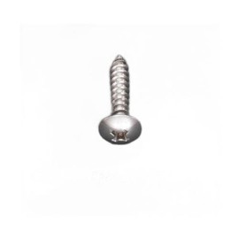 4 x 10mm Truss Head Tapping Screws (Stainless Steel/30pcs) EA949AL-318