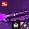 DARKBEAM UV Flashlight 395nm Blacklight Rechargeable USB, Wood's lamp Ultraviolet