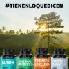 Berberina Hcl 500mg Clorhidrato Potenciado Piperina Pimienta Negra Raíz Cúrcuma