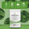 Bodygenix Silica 500mg Capsules Silicon Bamboo Extract Rich Supplement (120)