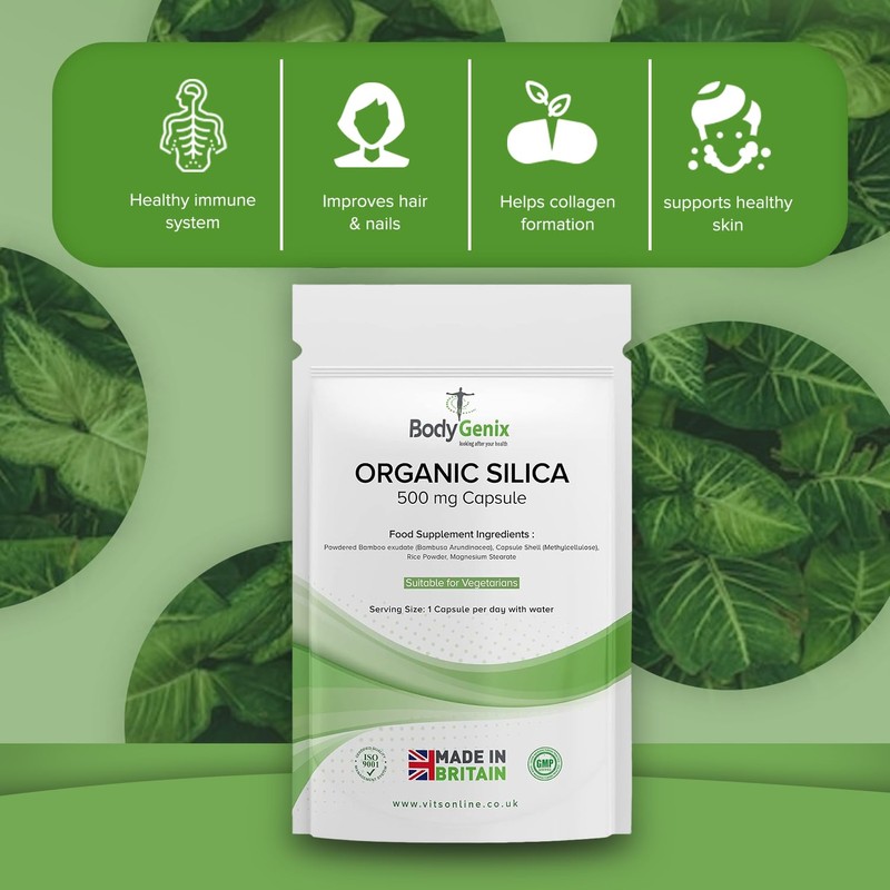 Bodygenix Silica 500mg Capsules Silicon Bamboo Extract Rich Supplement (120)