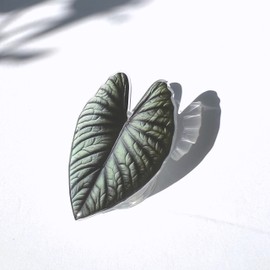 Generic Plant Phone Grip | Leaf Phone Holder | Philodendron Leaves Phone Stands, Multi-Functional Collapsible Expandable Phone Holder, Compatible with All Smartphone (P16)