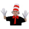 Child's 3 Piece Crazy Cat Fancy Dress Set - Striped