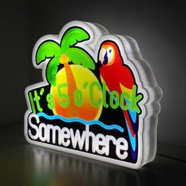Summer It's 5 o'clock Somewhere Parrot Night Light Up Box for Kids Teens Gifts USB Powered Lamp Lightbox Bedroom Room Wall Art Table Desk Decorations Decor Sign