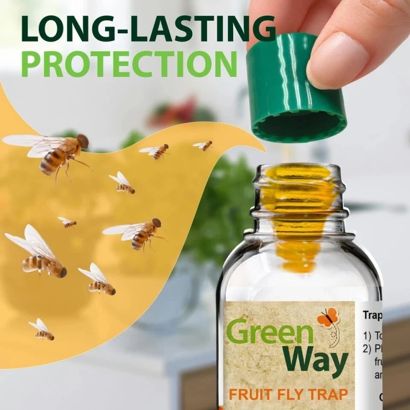 GreenWay Fruit Fly Trap Non-Toxic, Ready-to-Use, Long-Lasting