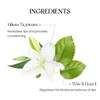 Peripera Ink Mood Glowy Tint | Lip-Plumping, Naturally Moisturizing, Lightweight,