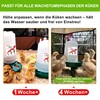 ZenxyHoC Chick Automatic Feeder and Drinker Set, 1 kg Chicken