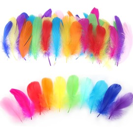 GoldRock Pack of 300 Colourful Feathers for Crafts, Feathers Colourful Fluffy 8-12 cm, Feathers Decoration, Natural Feather, Angel Wings for Crafts, Feather for Christmas, Dream Catcher, Headdress