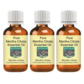Devprayag Pure Mentha Citrata Essential Oil (Mentha citrata) Natural Therapeutic Grade Steam Distilled (Pack of Three) 100ml X 3 (10 oz)