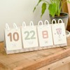 MUQQU Daily Calendar, Educational, Tabletop, For All Years, Kindergarten, Elementary