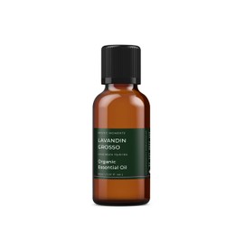 Mystic Moments Ätherisches Lavandin-Grosso-Öl 30 ml – reines und natürliches Öl für Diffusoren, Aromatherapie und Massagemischungen, vegan, gentechnikfrei