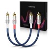UCINNOVATE RCA Audio Cable for Amplifier, 13 AWG 30cm 2