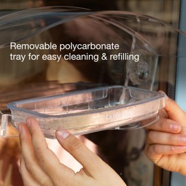 Window Bird Feeders with Strong Suction Cups - Jacobi Jayne® Sky Deck™ Clear Window Bird Feeder - Bird Feeder for Window - Watch Birds Close Up With this Acrylic Window Feeder