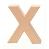 Glorex Cardboard Letter, Number and Characters, Letter X, x, natural