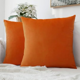 Jyumini Pack of 2 Velvet Soft Throw Pillow Covers 18x18 Inch, Silky Square Decorative Cushion Cases with Zipper for Home Decor Pillow Case Living Room Couch Sofa Bedroom, Burnt Orange