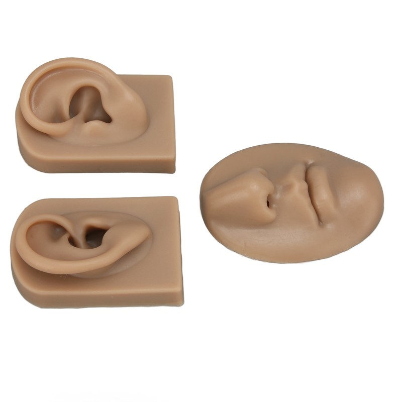 3D Nose and Mouth Model Silicone Ear Model Simulation Display
