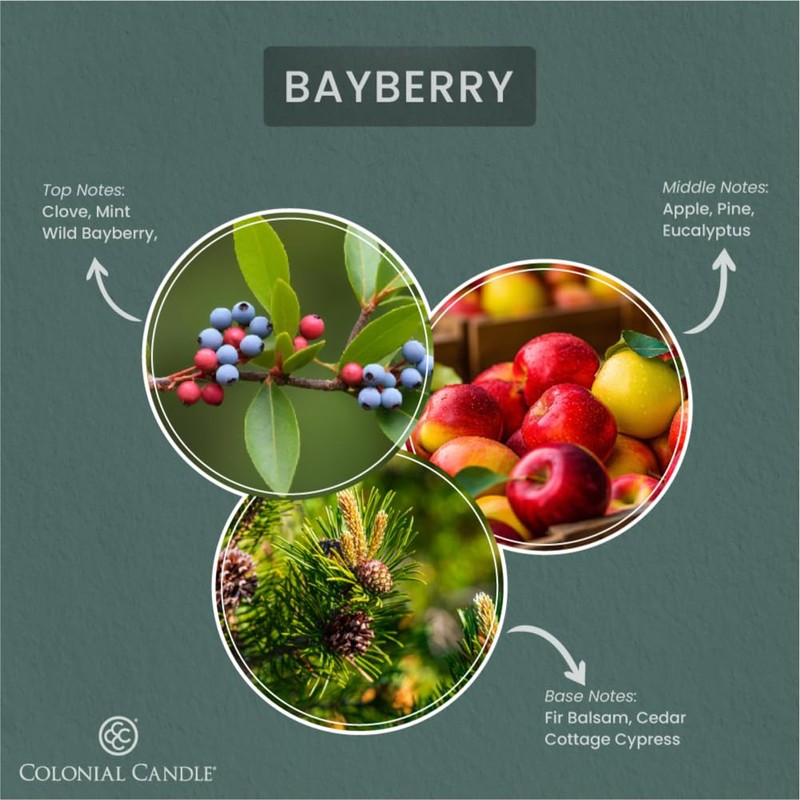 Colonial Candle Bayberry Scented Jar Candle, 2 Wick, 3.5 oz,