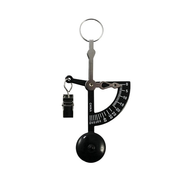 American Weigh Scales Manual Letter Postage or Kitchen Scale 100g