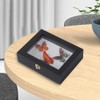 IHEIPYE Insect Display Case Wall Mount Bug Display Case Collection