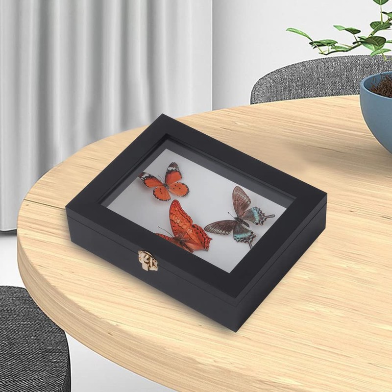 IHEIPYE Insect Display Case Wall Mount Bug Display Case Collection