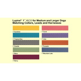 LupinePet Eco 1" Tropical Sea 24-38" Step In Harness for Large Dogs