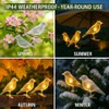 YZYOE 8 Packs of Solar Powered Bird Lights, Garden Decoration