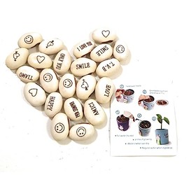 J&J Pack of 20 Seeds Magic Bean Magic Beans Gift Idea Repeat Event Curious Idea Home Gift Bingo Christmas Party in Love Special Message ..