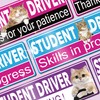 3 Pcs Student Driver Magnet for Car, HOLENGS Removable Reflective