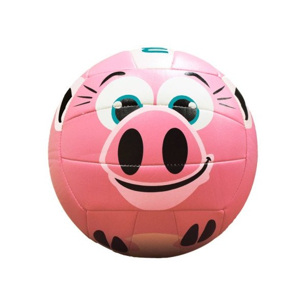 Molten MS500 pig Pig Volleyball -