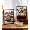Wooden Dried Flower Photo Frame Dried Flower Display Stand Decorative