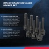 NEIKO 01131B 3/8-Inch-Drive Allen Socket Set, 3-Inch Length, 3/8-Inch Impact