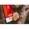 HYBRID HERBS – ORGANIC LIONS MANE MUSHROOM | 10:1 Extract