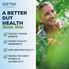 grow vitamin GoldCidin Gut Health Supplement, 18 Botanical Extracts, Eliminates