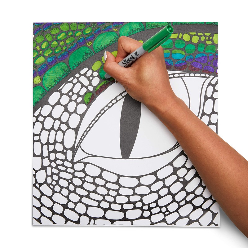 Sharpie Twin Tip 2 in 1 Ultra Fine/Fine Tip Marker