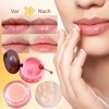 8 Stück Bee Balm Lip Balm - Lippenbalsam Honey Balm