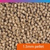 NT Labs Pro-f Catfish Pellet, Freshwater Catfish Food, Aquarium Fish