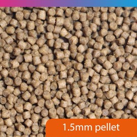 NT Labs Pro-f Catfish Pellet, Freshwater Catfish Food, Aquarium Fish Feed, Quick Sinking Fish Food, Nutritious Fish Feed, (60g)
