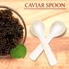 Caviar Spoons Mother of Pearl MOP Caviar Spoons with Hand