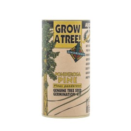 The Jonsteen Company Ponderosa Pine | Tree Seed Grow Kit | The Jonsteen Company
