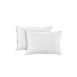 Kickoff 100% Bamboo Viscose Pillowcases Only, Queen, Cooling Breathable, Hidden Zipper, Bedding Pillow Covers for Hot Sleepers (2 Pack, Queen 20"x30", Snow White)