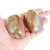 Orientrea Ocean Jasper Palm Stone-2 Pcs Ocean Jasper Pocket Energy