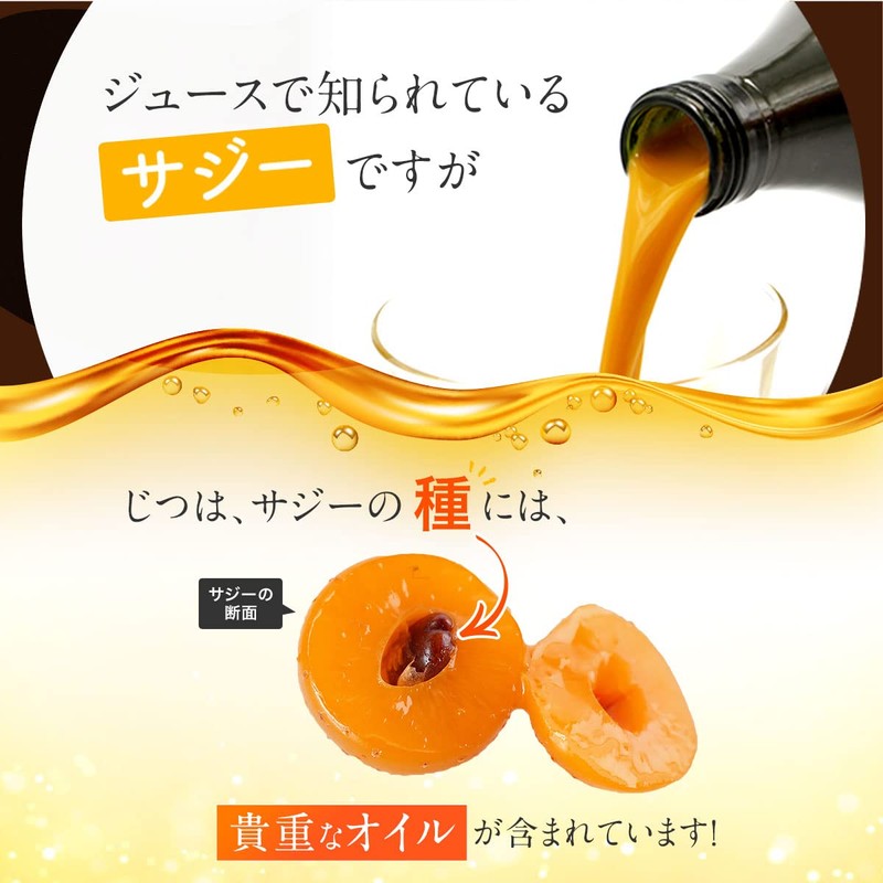 サジー種子オイルカプセル SajiOne サジー サプリメント 60粒 美容 健康 サプリ オメガ3 オメガ6