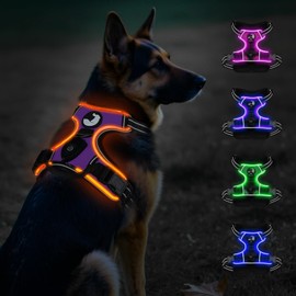 Taglory Light Up Dog Harness, Rechargeable No Pull Dog Vest with 3 Lighting Modes, Reflective Dog Harness with 2 Leash Clips & 4 Adjustable Slide Strips for Large Dogs, Purple-Orange, XL