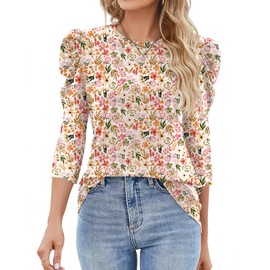 Ivicoer 3/4 Sleeve T Shirts for Women Cute Summer Tops Spring 3/4 Sleeve Tops for Women Easter Shirts XL