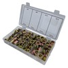 Comprehensive 95-Piece Carbon Steel Rivet Nut Set - Flange Blind
