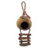 SunGrow Leopard Gecko Coconut Husk Hut with Ladder, with Shell
